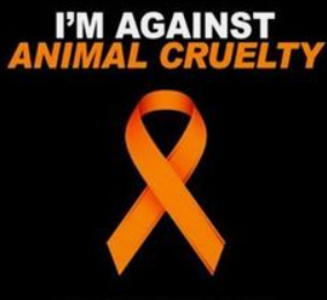 Animal Abuse Needs To STOP!!'s Photo