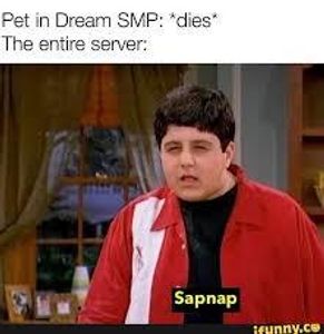 Dream smp Memes's Photo