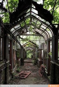 abandoned greenhouses because aesthetic's Photo