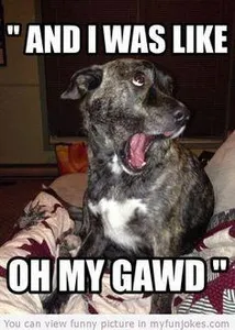 Guess who says it Guess who says it