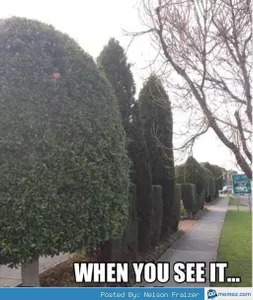 Can you see it?'s Photo Can you see it?'s Photo