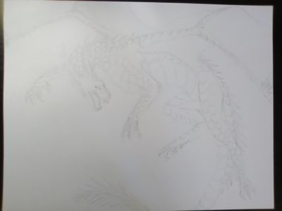 My dragon art page?'s Photo