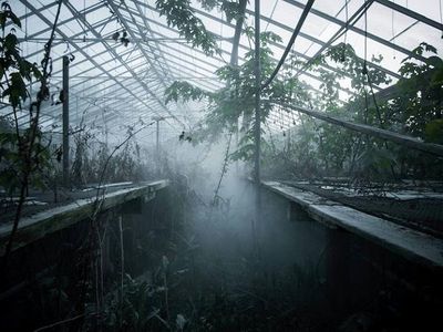 abandoned greenhouses because aesthetic's Photo