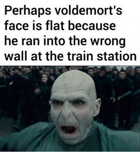 Harry Potter Memes (1)'s Photo