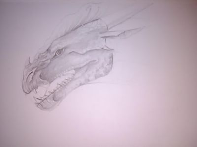 My dragon art page?'s Photo