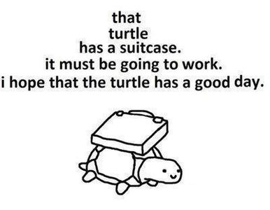 Reasons why Turtles are cool's Photo