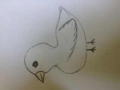 Drawing Contest! (4)'s Photo