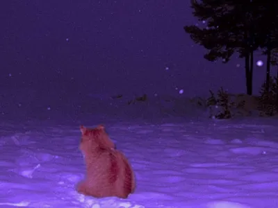 My Aesthetics's Photo My Aesthetics's Photo