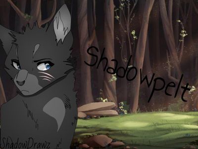 Warrior Cats Fandom (Edits)'s Photo