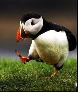 Unpopular Opinions Unpopular Opinions