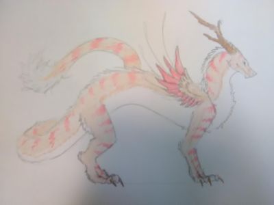 My dragon art page?'s Photo