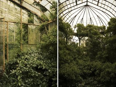 abandoned greenhouses because aesthetic's Photo