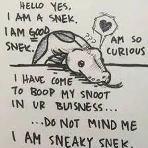 Snek memes!'s Photo