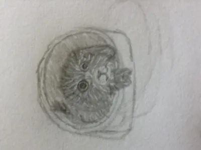 Drawing Contest! (4)'s Photo Drawing Contest! (4)'s Photo