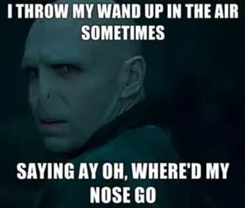 MEMES!'s Photo MEMES!'s Photo