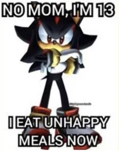 Sonic the Hedgehog's Photo Sonic the Hedgehog's Photo