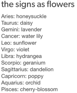 zodiac signs (2)'s Photo