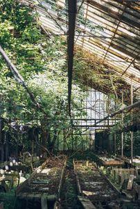 abandoned greenhouses because aesthetic's Photo