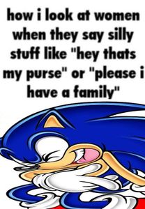 Sonic the Hedgehog's Photo