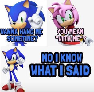 Sonic the Hedgehog's Photo