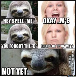 MEMES!'s Photo MEMES!'s Photo
