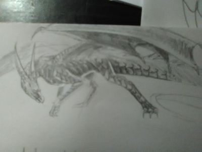 My dragon art page?'s Photo