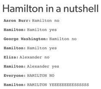 Hamilton Memes's Photo