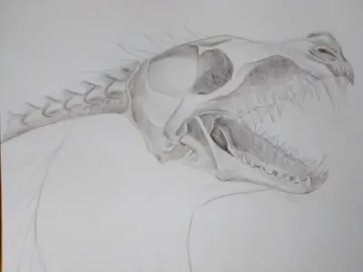 My dragon art page?'s Photo My dragon art page?'s Photo