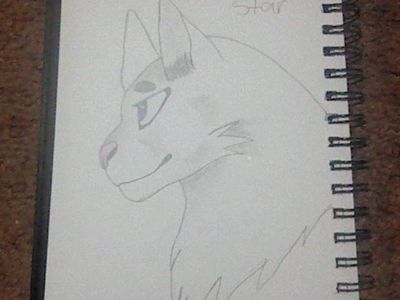 Warrior cats page! Art, fan fiction, drawings, and anything to do with warriors's Photo