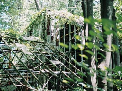 abandoned greenhouses because aesthetic's Photo