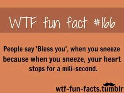 Page for anything!'s Photo Page for anything!'s Photo