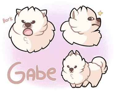 Gabe the dog tribute's Photo