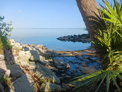 Nature's Photo Nature's Photo