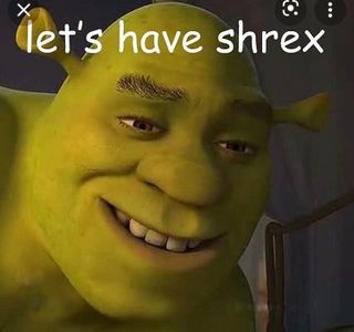 Shrek's Photo