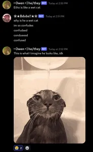 Silly Discord Screenshots's Photo Silly Discord Screenshots's Photo