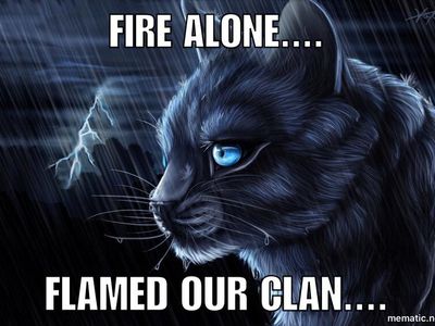 Warrior Cats!'s Photo