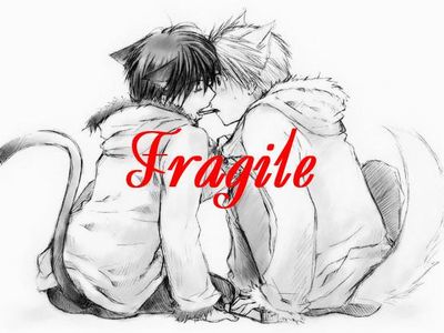 Fragile: The Online Book