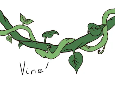 Vine fan page's Photo Vine fan page's Photo