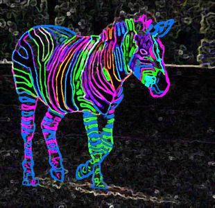 neon zebras (1)