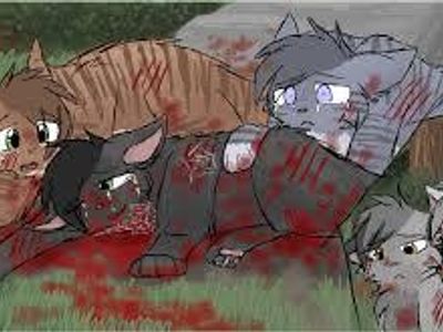 Warrior cats memorial