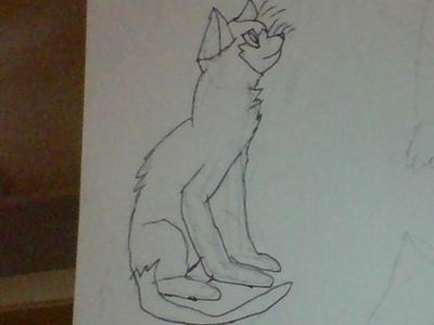 Warrior cats page! Art, fan fiction, drawings, and anything to do with warriors's Photo