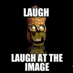 FNAF memes's Photo