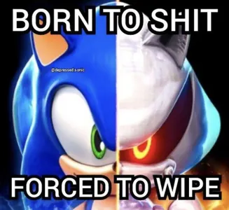 Sonic the Hedgehog's Photo Sonic the Hedgehog's Photo
