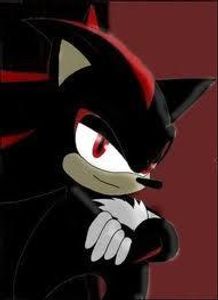 Question Or Dare Shadow The Hedgehog