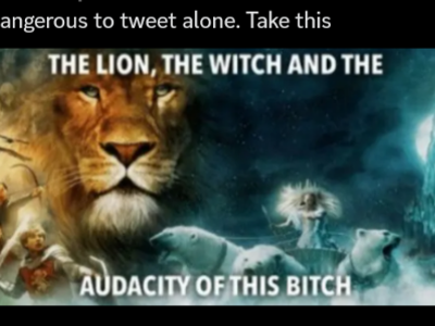 the lion the witch and the audacity of this bitch's Photo