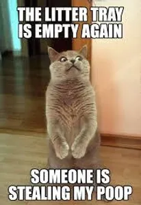 THE LOL PAGE :D's Photo THE LOL PAGE :D's Photo
