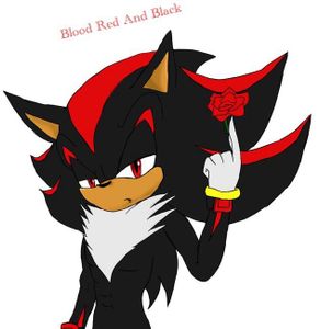 Question Or Dare Shadow The Hedgehog's Photo