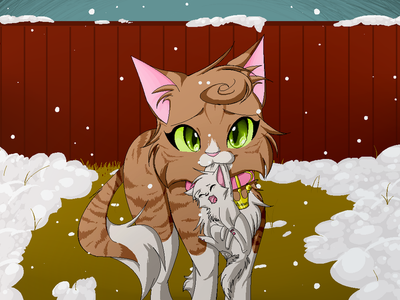 All about warrior cats's Photo