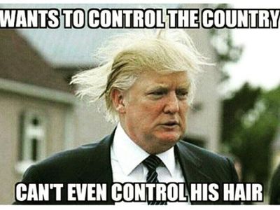 Donald Trump memes's Photo