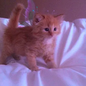 My Aesthetics's Photo My Aesthetics's Photo